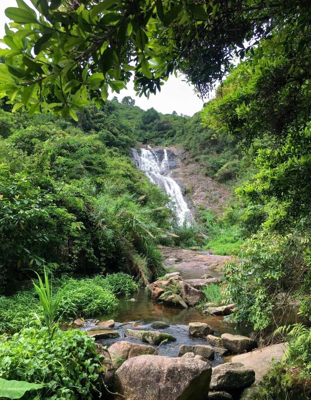 是遠足,露營的好去處馬巒山大部分山峰在海拔500