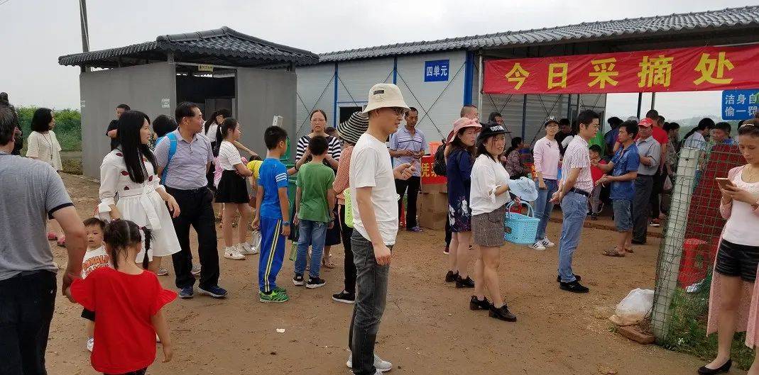 7:30-19:00地址:广州花都区狮岭镇联星村交通路线千亩桃园指引:广清