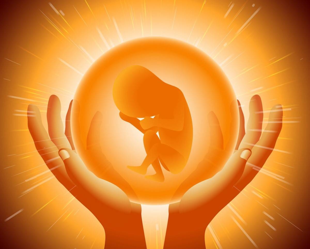受精卵是怎么变成胎儿的 孕妇早期需要注意哪些事项