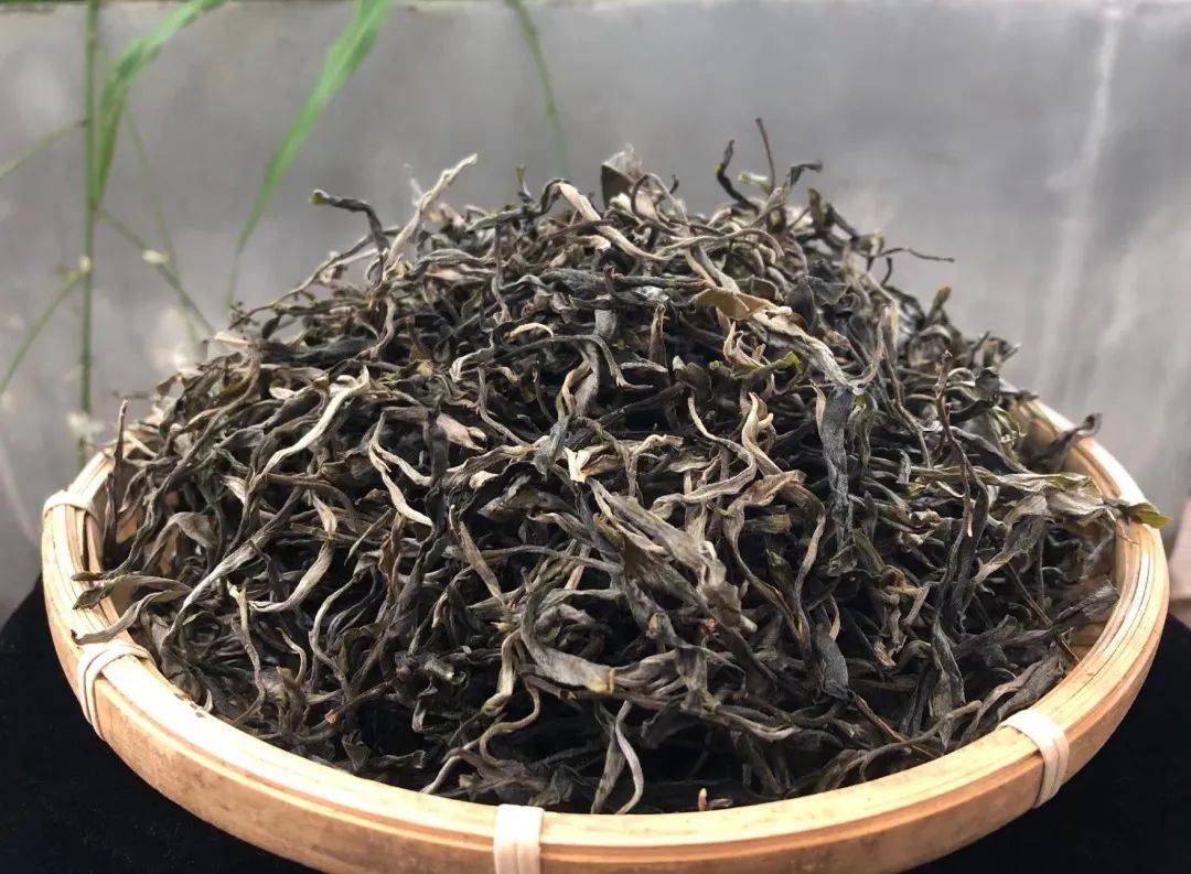 【老徐鉴茶】第609期:2023头春忙肺古树茶品鉴报告_水味_感觉_品质