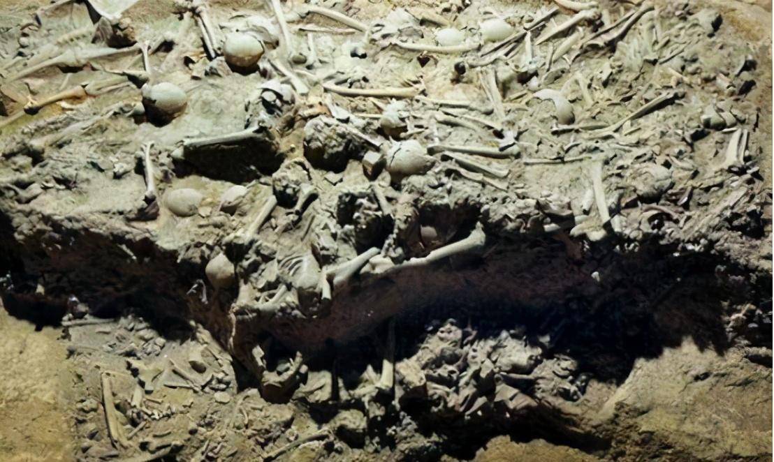 秦国_上党郡_战役