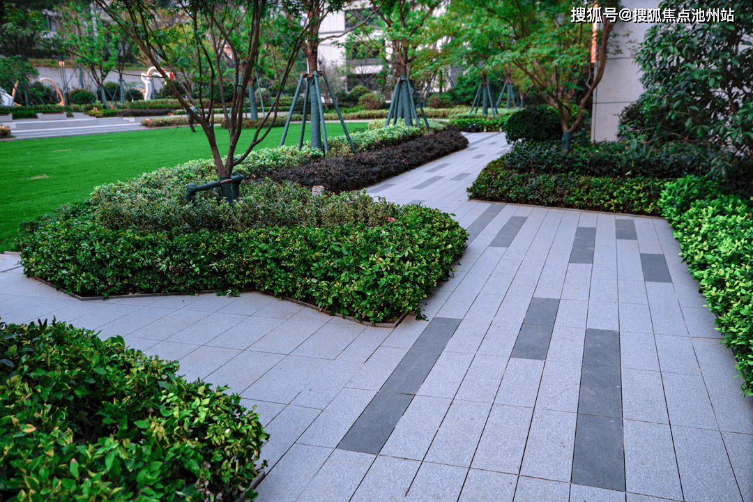 灵感源自新安江中学校歌《共同的星座》.