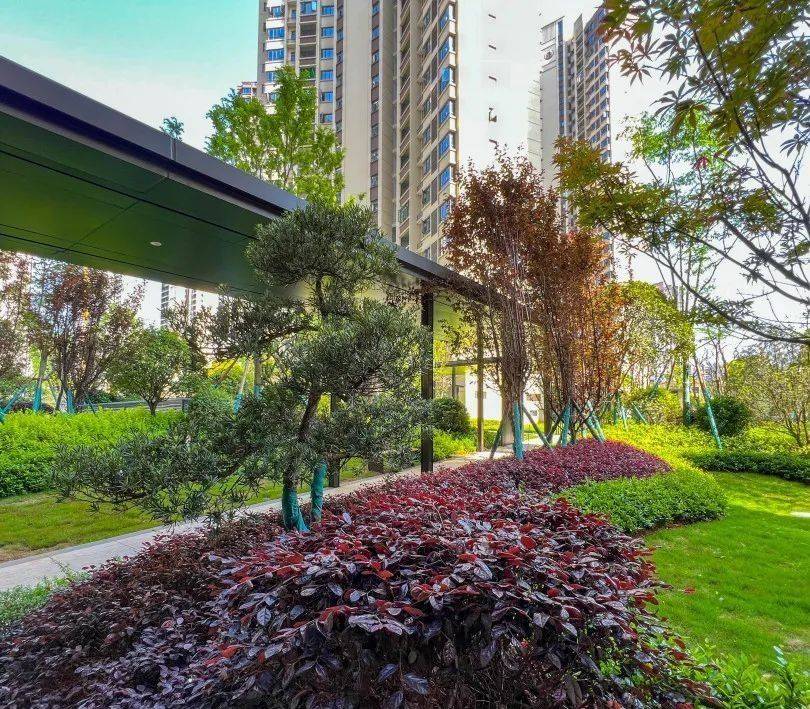 上品书苑实景图融华地产作为郴州楼市的一匹"黑马",表现实在是太亮