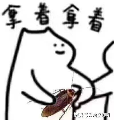 一组给蟑螂套路表情包 ,快拿去跟朋友皮一下!_-end-_侵权_网络