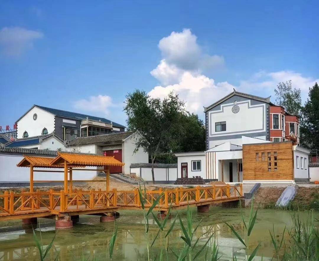 张喜迎一行走进赵堤镇:水墨描绘乡村振兴新画卷_小渠_建设_小镇