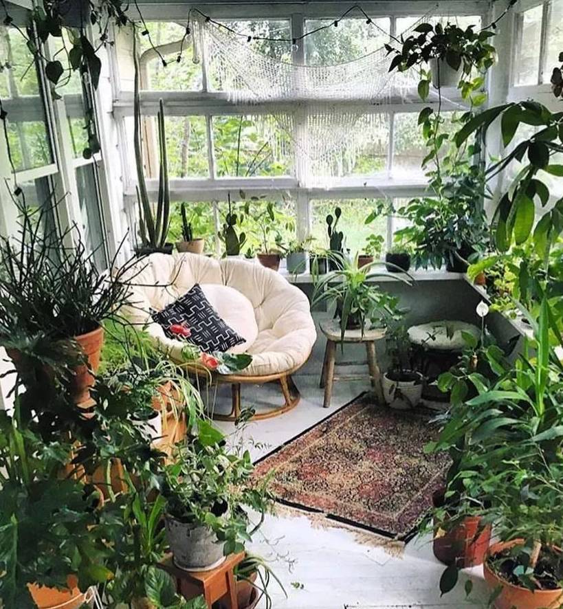 原创            照顾室内盆栽绿植注意这几点，避免植物黄叶和烂根-室内盆栽植物养护方法图片