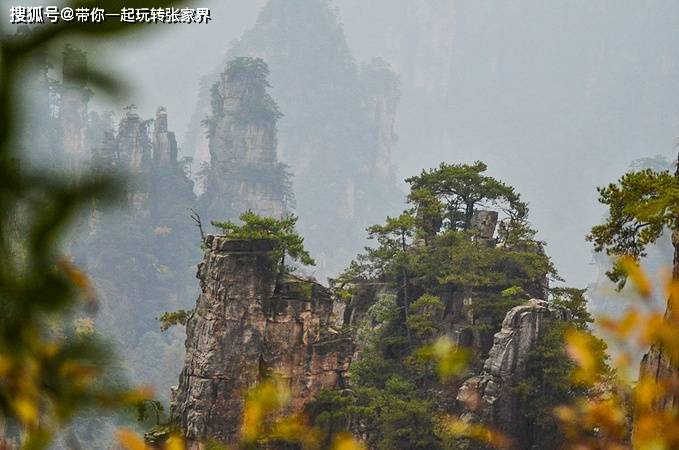 张家界4天3晚自由行攻略-张家界旅游5天4晚