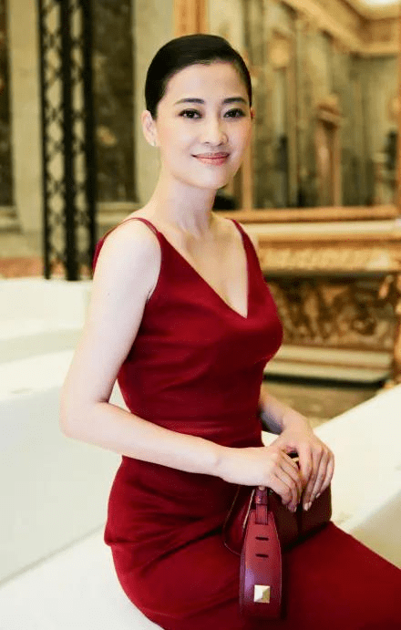 梅婷穿上一件红色的礼服还是挺好看的,整个人看起都显得非常的贵气