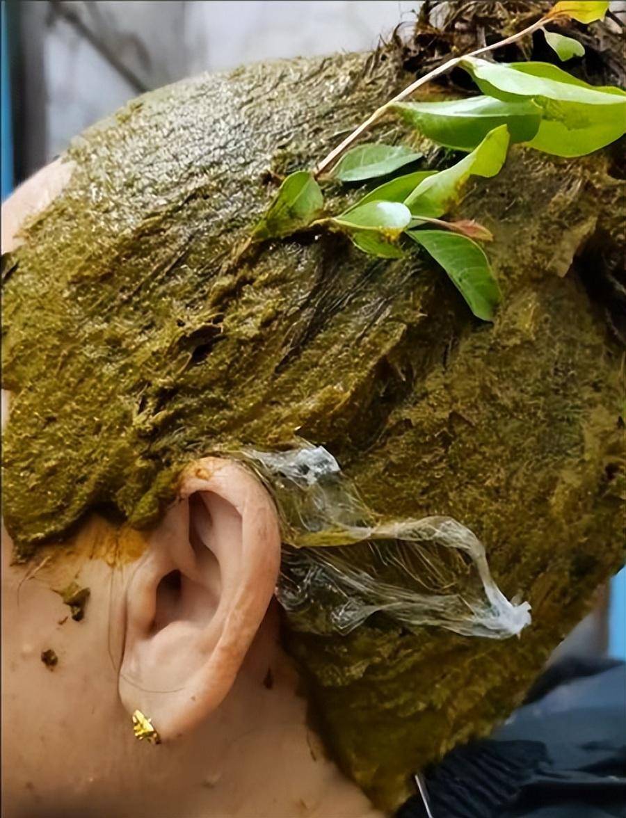 90后女孩用树叶给村民染白发,薅光300棵树,网友吐槽"像牛粪"_冬冬