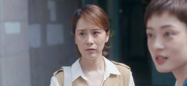 《安家》为何评价不高:剧情不贴近生活,毁三观_电视剧_因为_孙俪