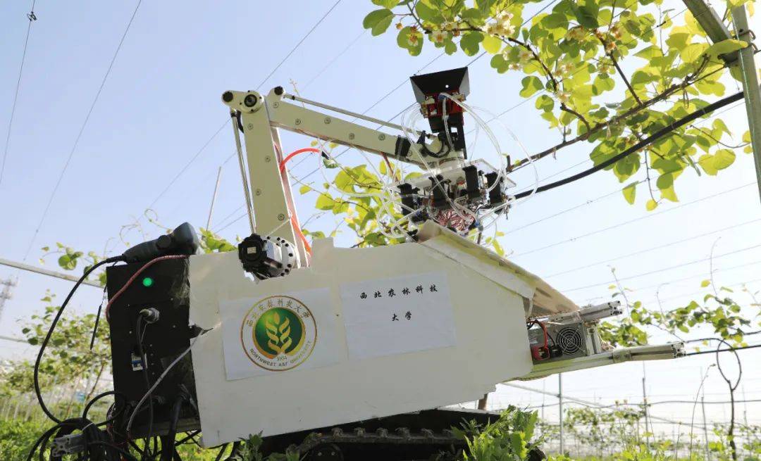 授粉机长"鹰眼",西农大这台猕猴桃机器人真厉害!_机械_识别_傅隆生