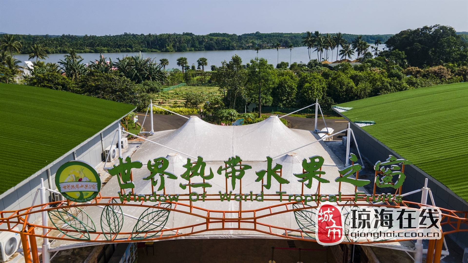 图说琼海丨大路镇世界热带水果之窗:多样水果 多种口福_柠檬_手指