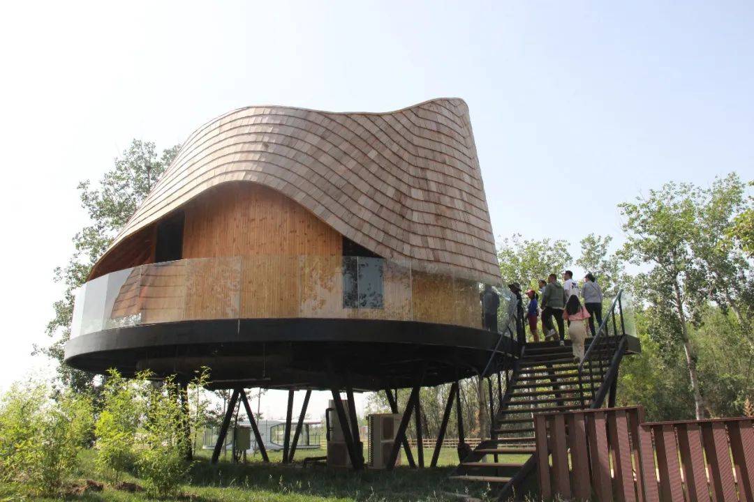 有氧社第12站 - 天津场 | 树蛙部落开放日_项目_嘉宾_营地