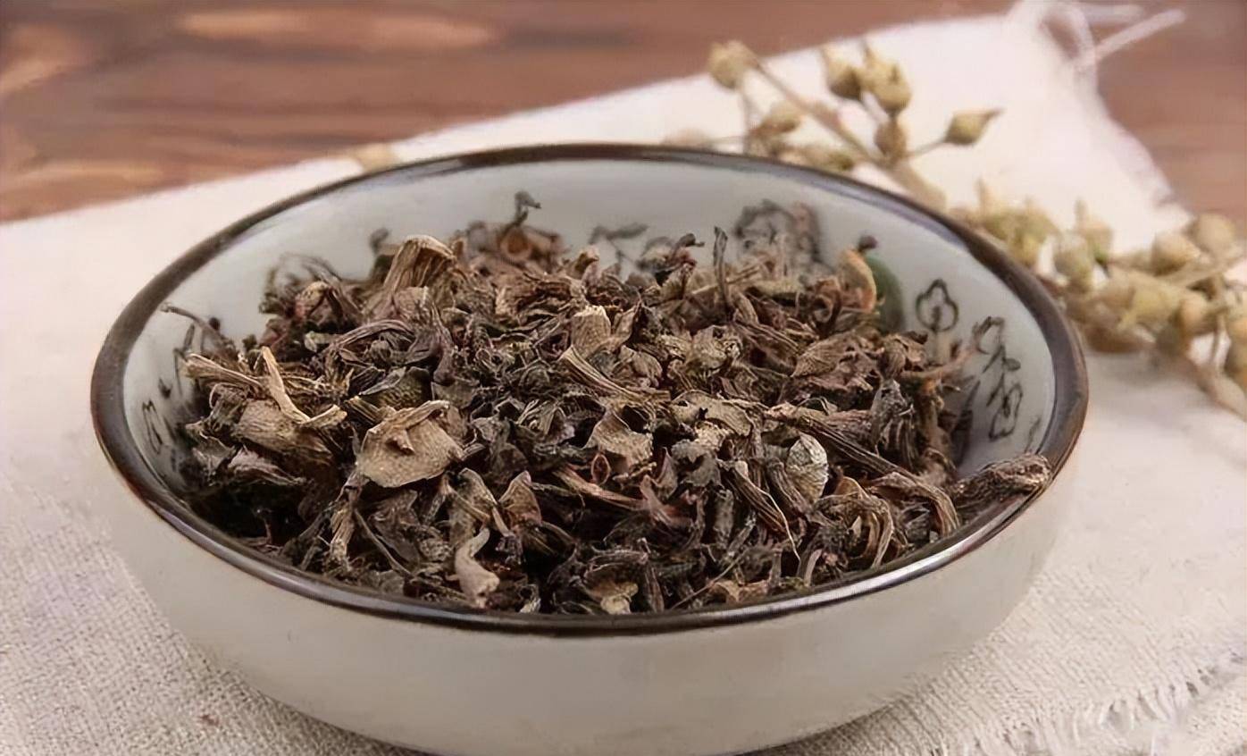 马齿苋俗称草血旺,中药有治疗伤寒热毒和痢疾功效,古今深受喜爱_生命