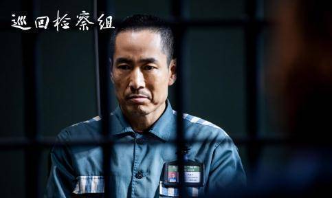 《巡回检察组》完结,下一部追啥成难题,因为优酷好剧太多了_冯森_振东