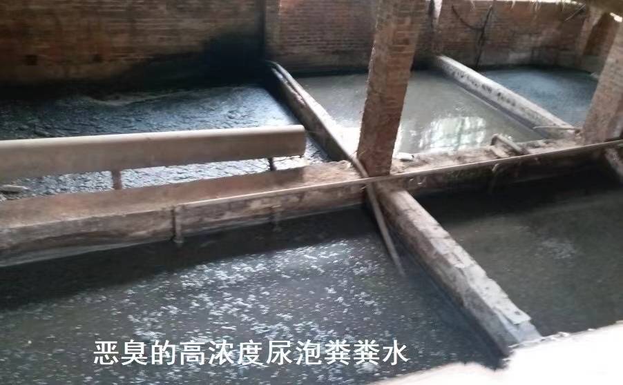 将猪场的猪粪尿快速发酵成液态有机肥技术,不需要固液分离,操作简单