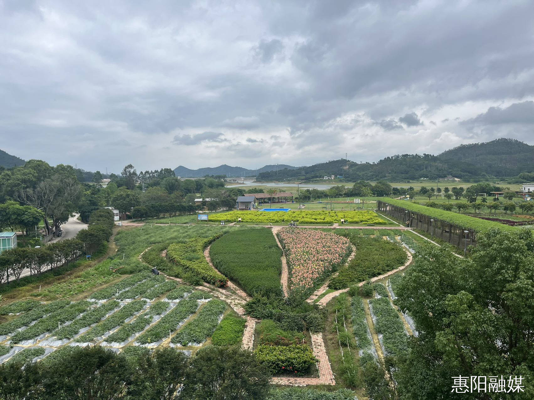 游览"田园牧歌" 玩转生态惠阳_文化_游客_乡村