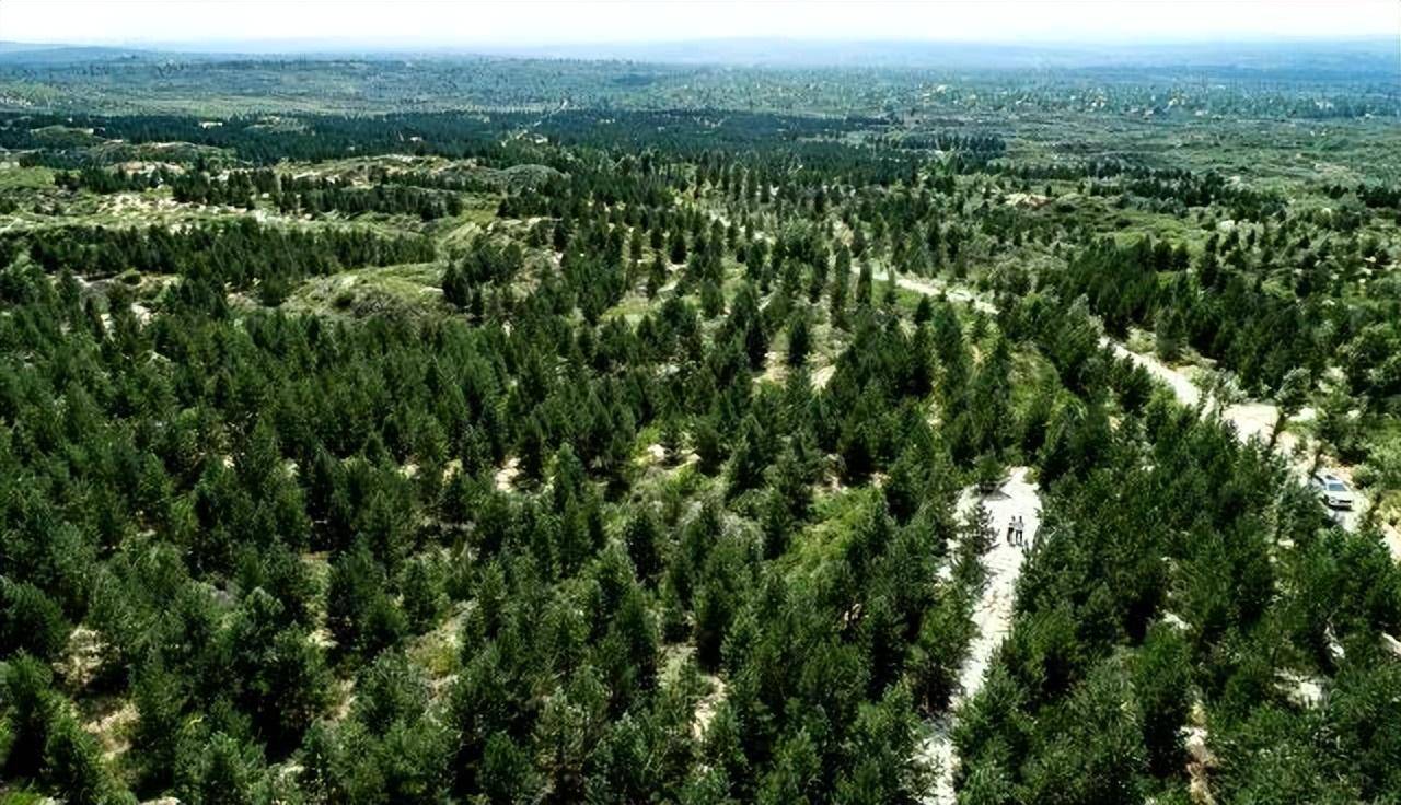 工程累计完成造林面积超过3000万公顷,近10年来我国天然林保护建设