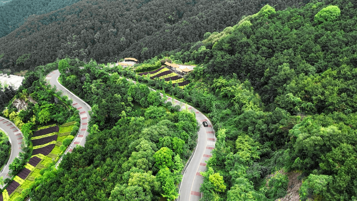 原创                1000km不加油不停歇，东风风神皓极能否成功“进淄赶烤”？-东风suv风神