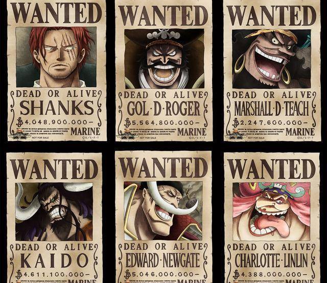 海贼王四皇及罗杰悬赏令更新事实证明还是漫画的悬赏令更带感_旧版本