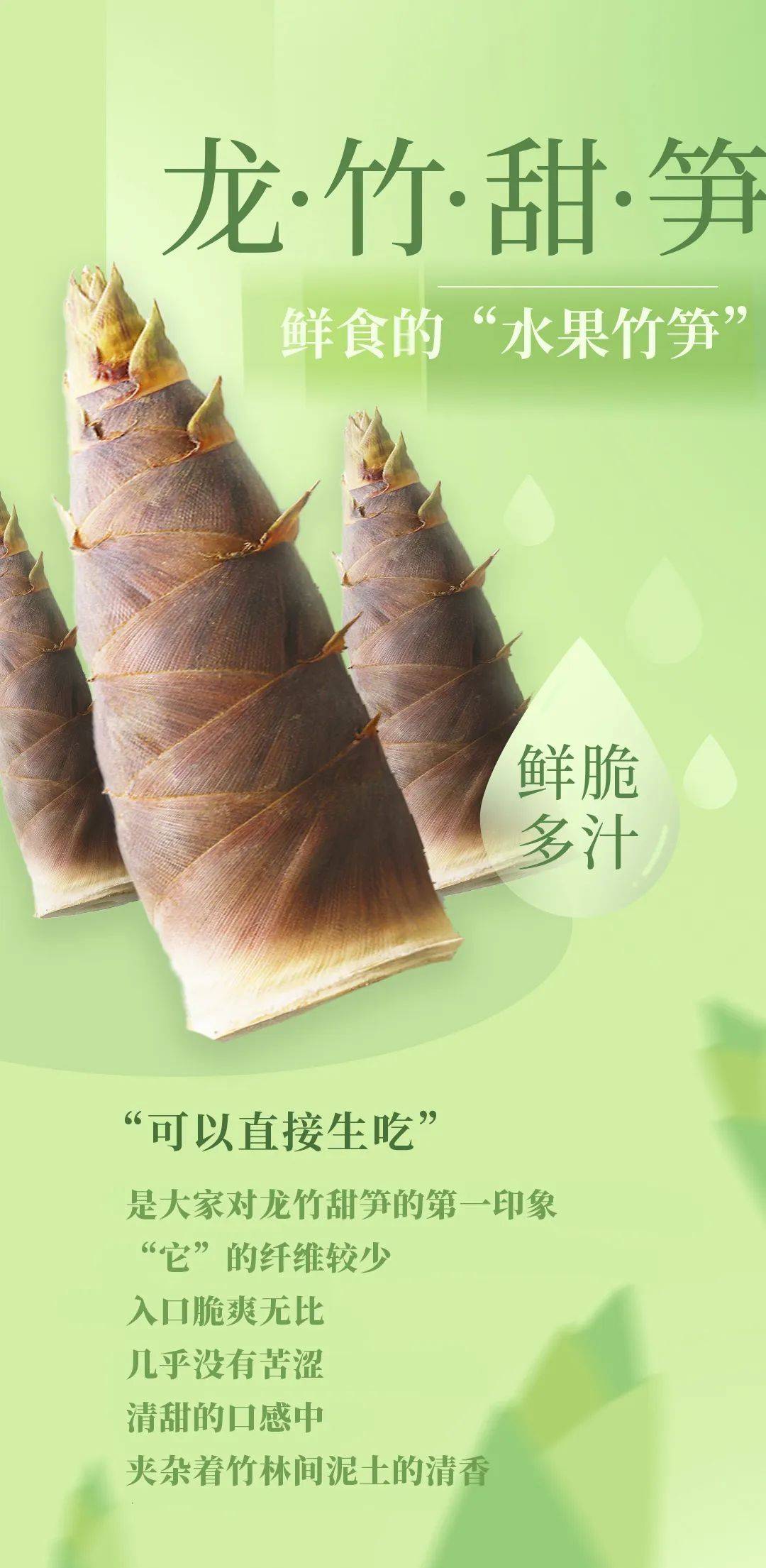 宝藏新品|可以生吃的"水果竹笋"来喽!_广场_射阳_控股集团