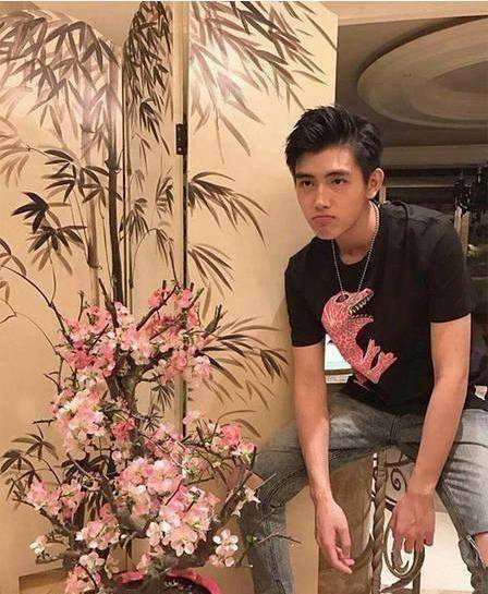 陈凯歌晒出自己的豪宅,客厅装修媲美宫殿,一幅挂画就值两千万_空间_棕