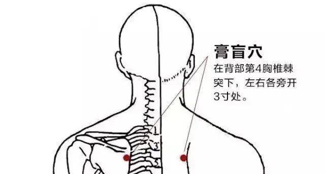 膏盲准确位置图和功效图片