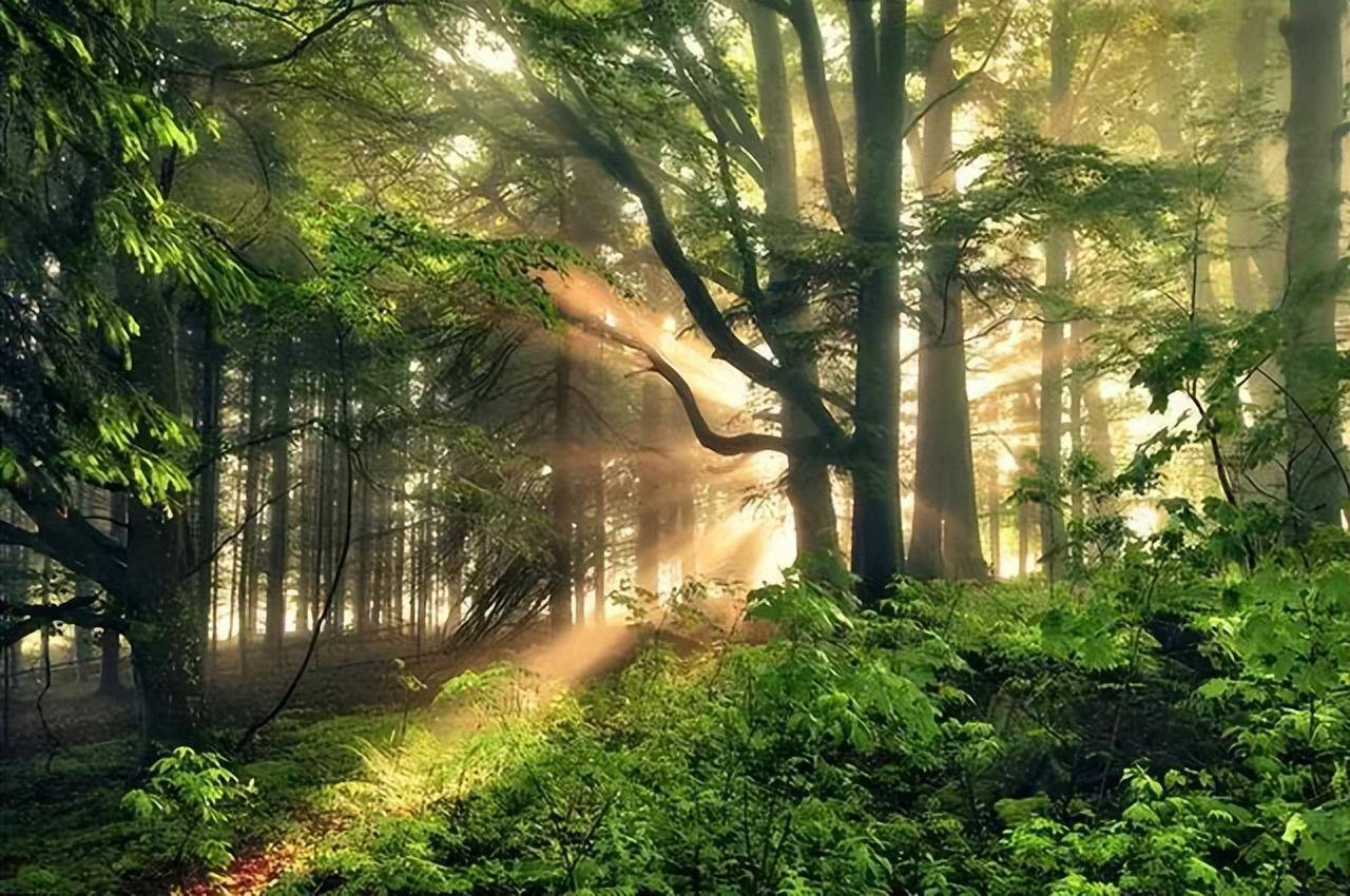 墨言教育摄影技能分享||全球十大顶级风光摄影师作品_风格_riv_大自然