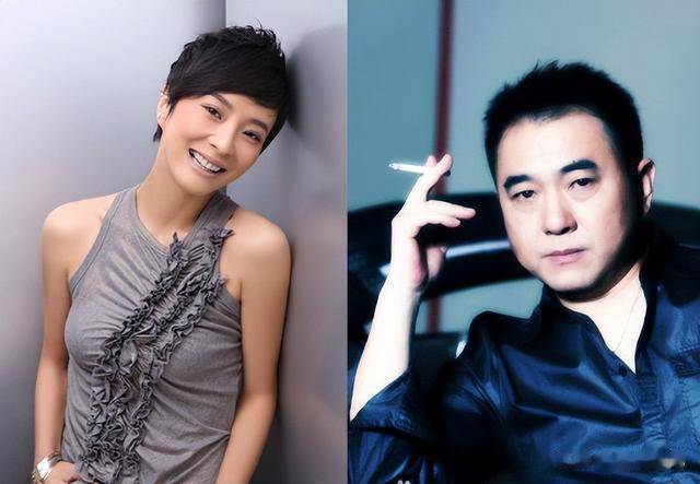 苏岩的上位故事,不简单_作品_罗嘉良_表演