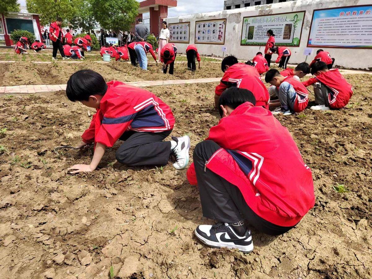 邓州市构林镇魏集中心小学举行劳动特色教育活动_家庭_年级_生活