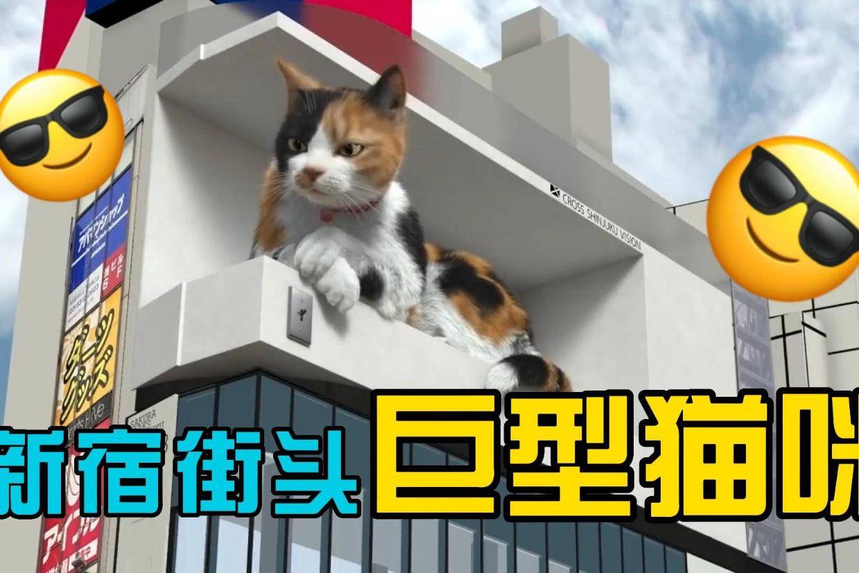 日本新宿街头惊现巨型猫咪!太可爱了吧!