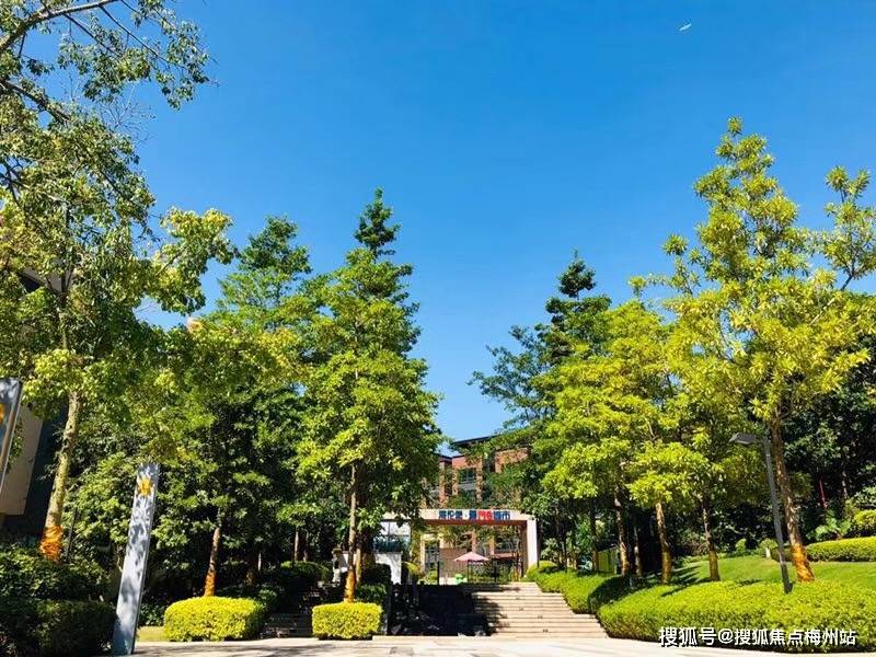 惠州香树和园售楼处_香树和园售楼处欢迎您_楼盘详