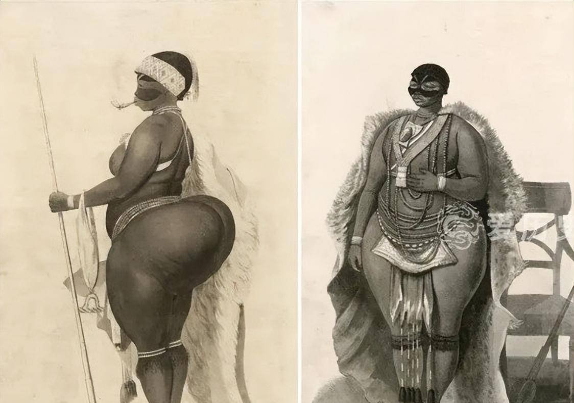 巴特曼:生前被鞭笞凌辱,与猩猩同住,死后被做成标本展览200年_表演