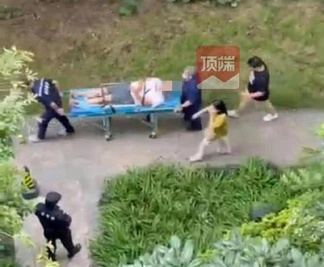 袁丽律师：校内被撞身亡小学生母亲坠楼身亡，网络暴力违法甚至犯罪！-袁丽群简历