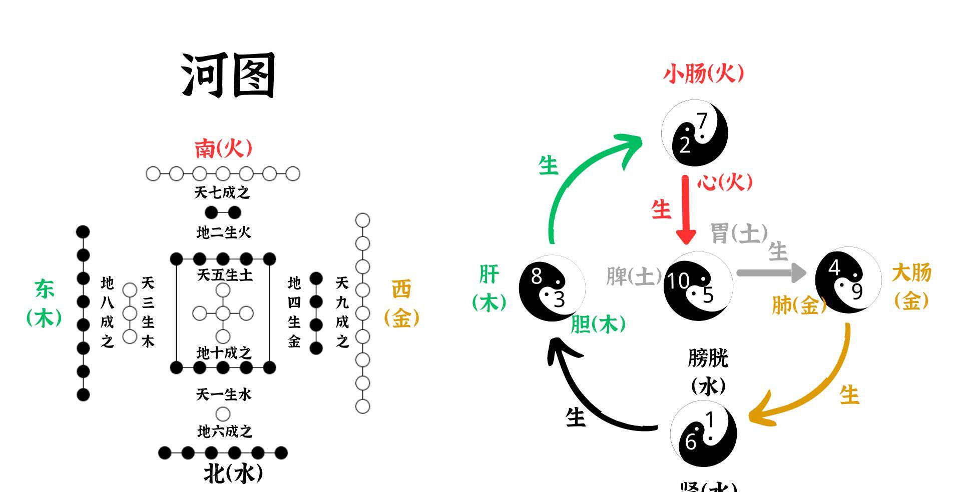 人体内的气机变化是以气的阴阳为主线,这些内容全部
