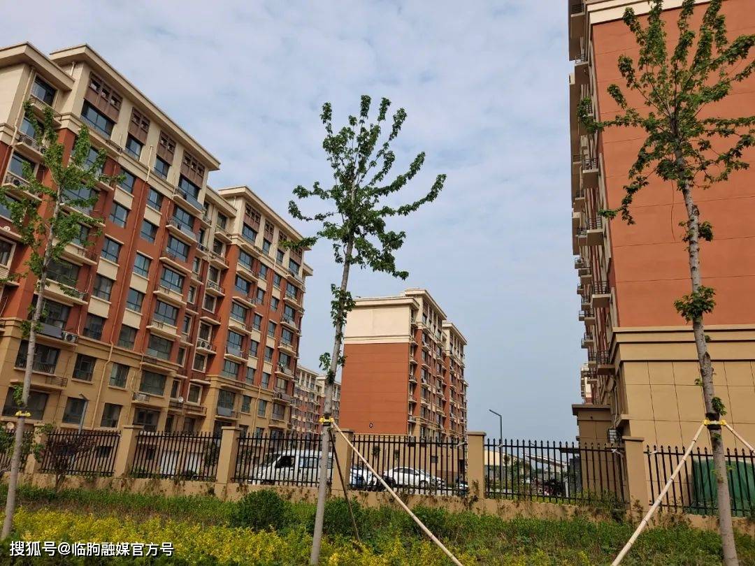 临朐县龙山居民回迁一年间_小区_李培升_村民