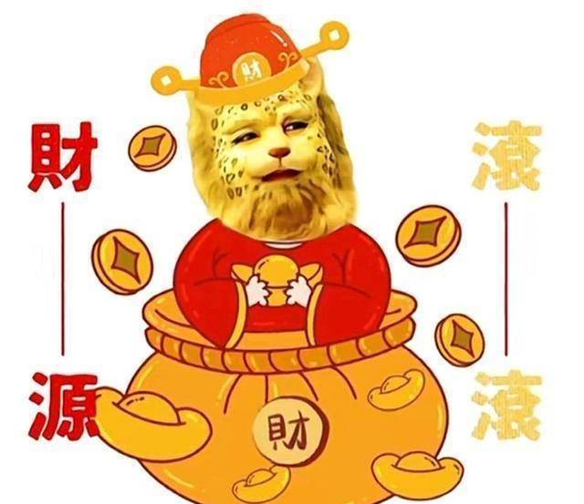 金钱豹当头像一定能招财_网友_因为_铜钱