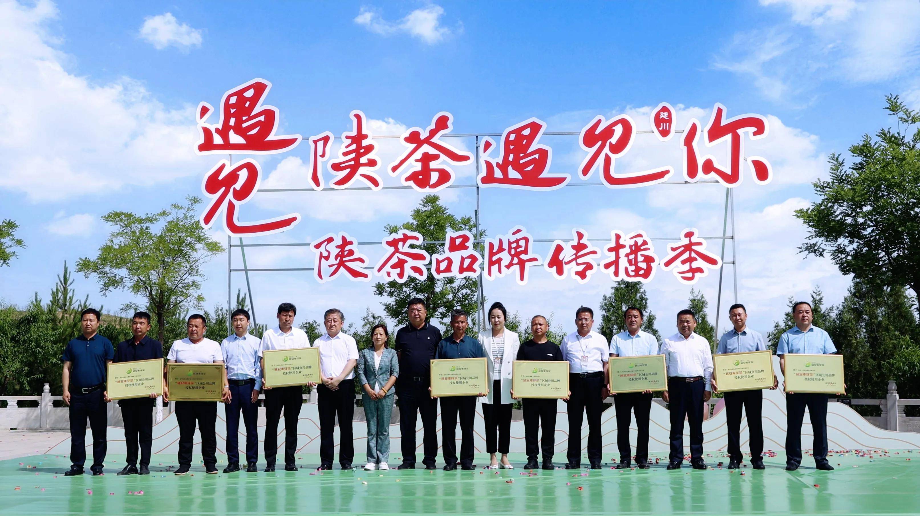 启动仪式上,延安市副市长魏延安讲话并宣布活动启动,延川县委书记