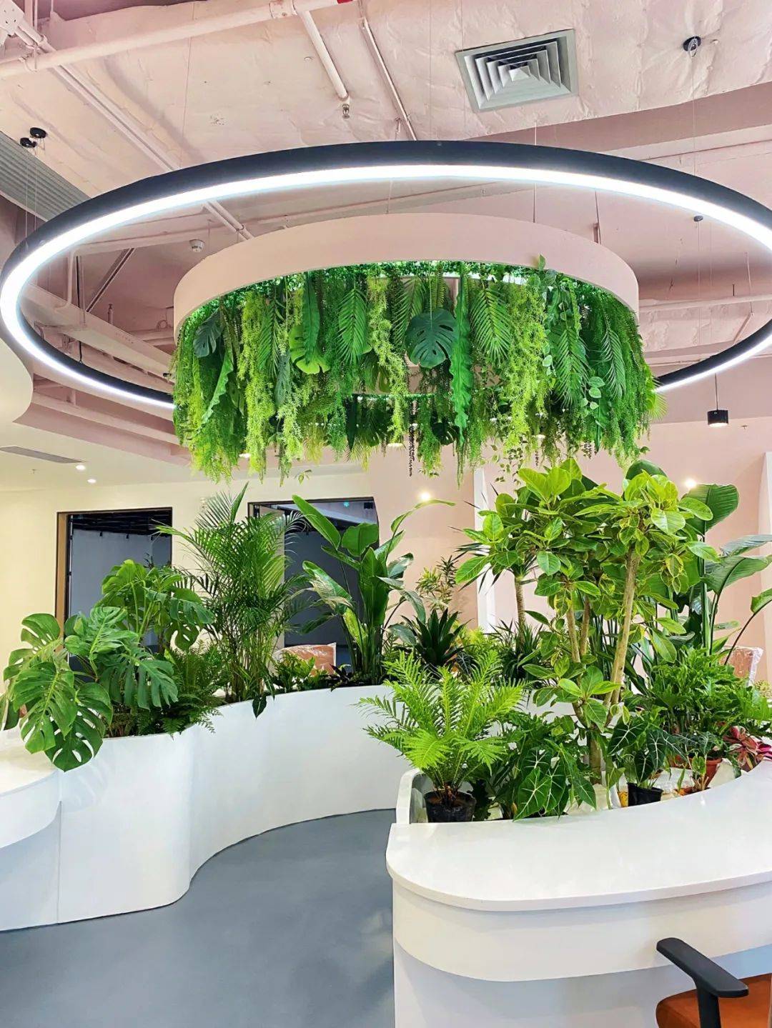 (广州美陈展) 展商情报 ​▏简单饰界:把大自然