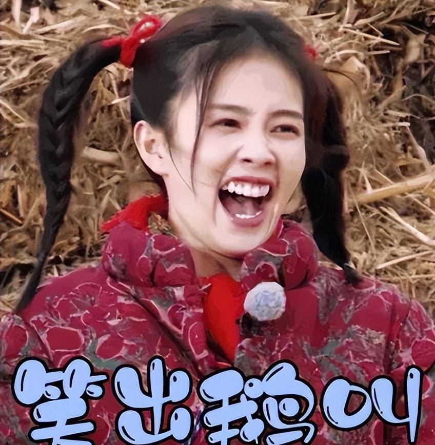 一身红棉袄,扎着两个小麻花辫,发出嘎嘎大笑.