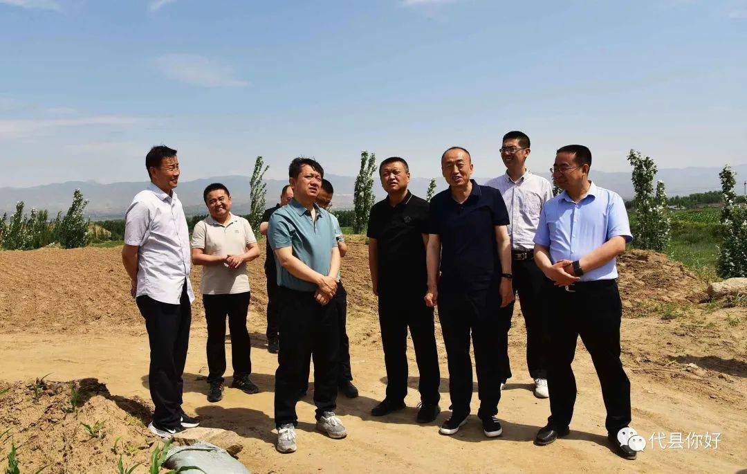 市委常委,县委书记崔峥岭调研生态环保,耕地保护,公路建设工作_旅游