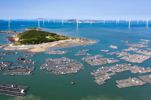 一贯好鲍,好鲍鱼源于好产地:莆田南日岛_南日鲍_养殖_气候