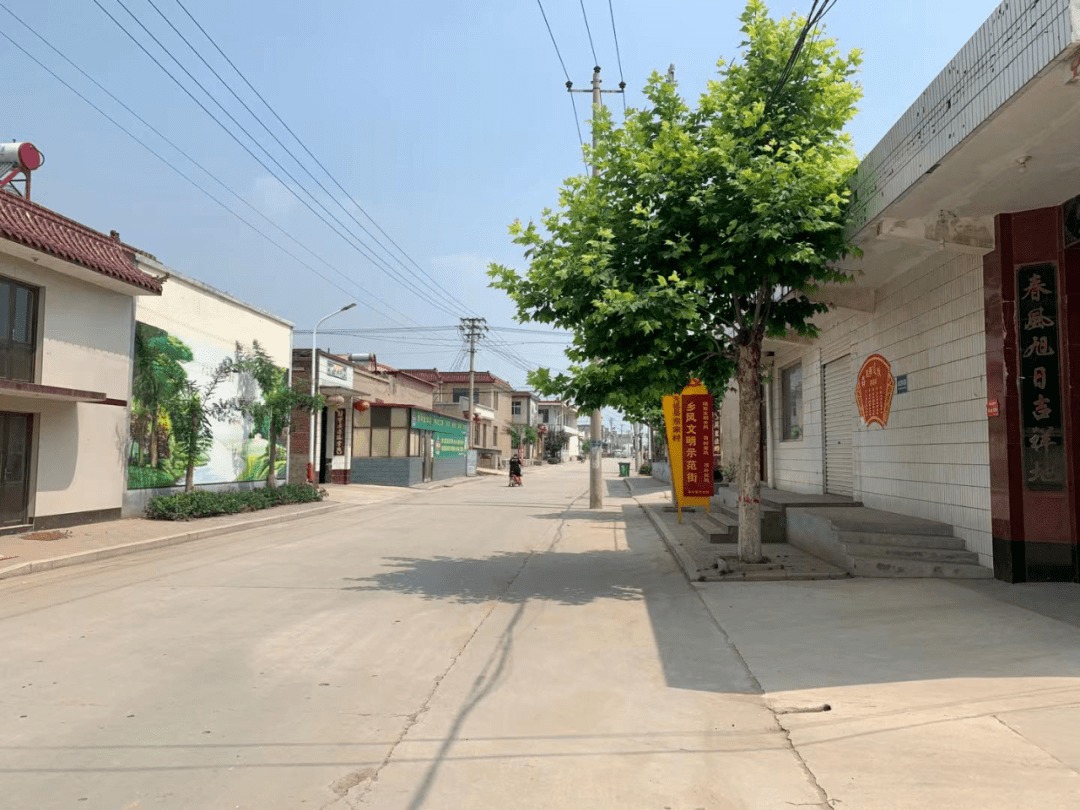 乡村振兴 党员助力丨无极县南流乡积极开展党员引领人居环境整治行动