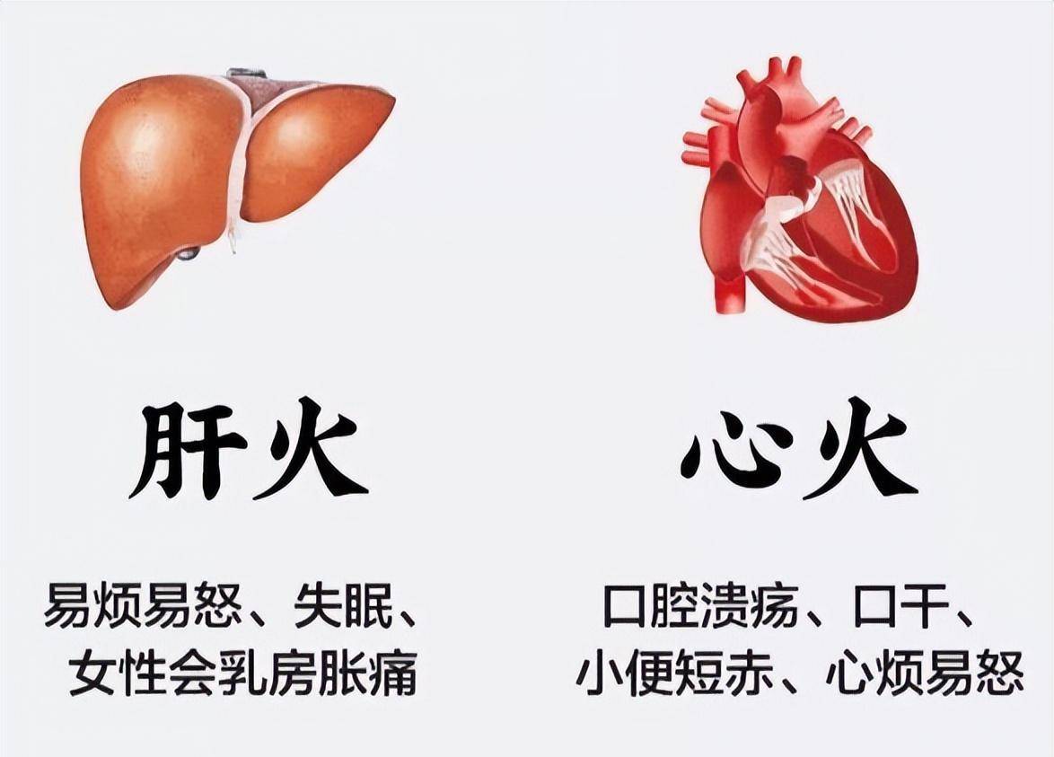 情志不遂,肝郁气滞,气血凝结,脉络不通,或气虚痰凝,痰瘀互结,发为中风