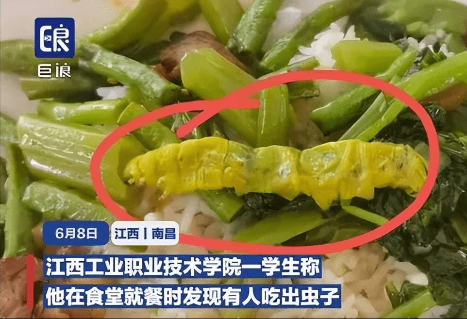 鸭脖门高校又吃出疑似"大青虫",网友:是冬虫夏草!还是鸭脖?