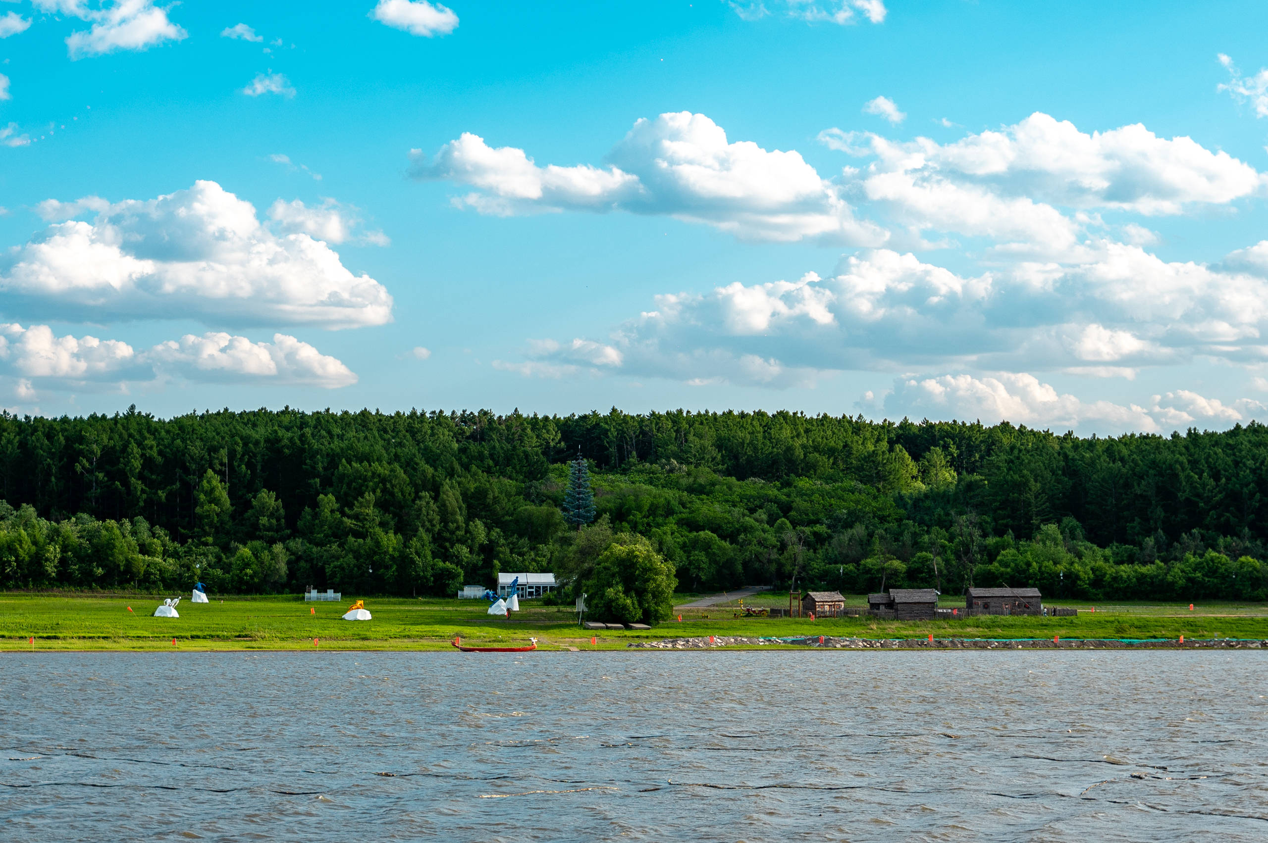亚洲第一大人工林海净月潭,夏日避暑绝佳胜地,《人世间》取景地_森林
