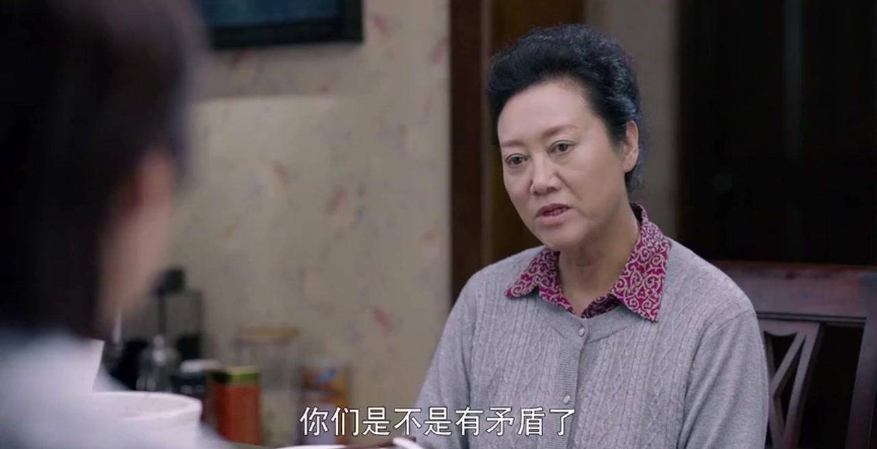 带来了戏路的局限性,她就是"恶毒"的,《小麦进城》出演婆婆"杨文采"