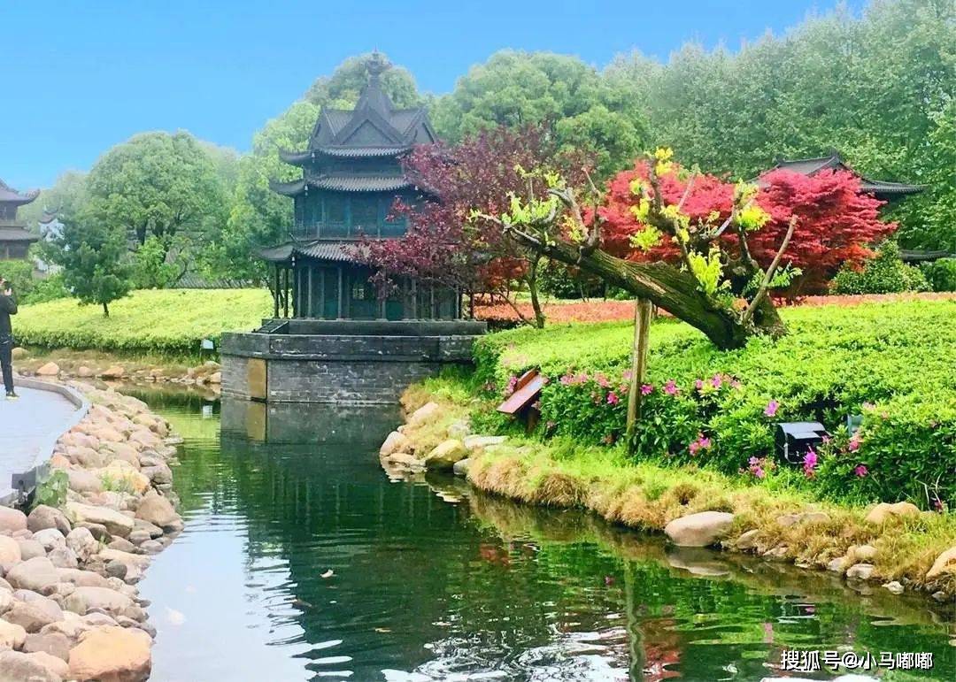 騎行小馬嘟嘟代步車感受君山島的古今變化_景區_遊客_岳陽樓