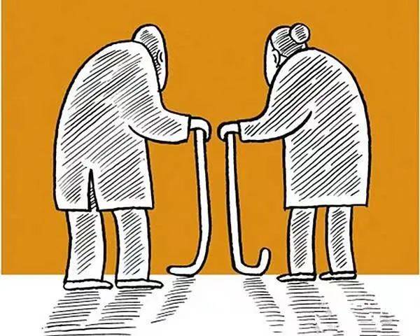 注册营养师报考条件_aci营养师报考条件_公共营养师证书查询