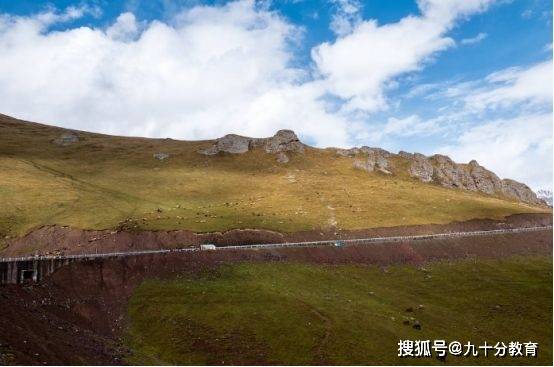 自媒体视频怎么下载？掌握这3个工具，全网视频任意下（一看就会）-微丽宝